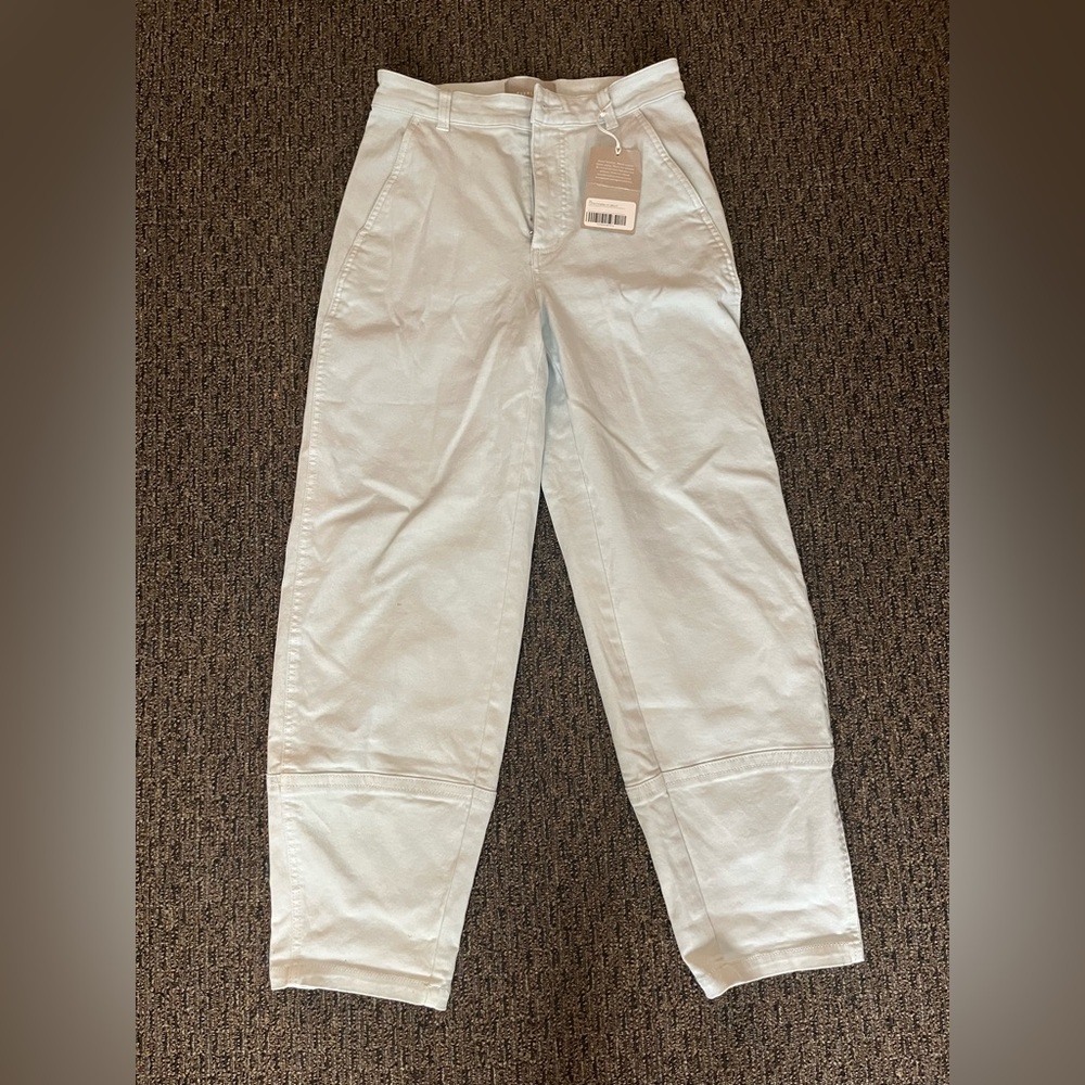 Everlane Barrel Pant